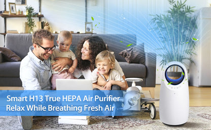 Smart WiFi HEPA Air Purifier for Home Large Room, Smart WiFi and Alexa Control, H13 True HEPA Filter for 99.95% Purification, Eliminates Allergies, Pet Dander, Smoke, Dust, Portable Quiet Air Cleaner